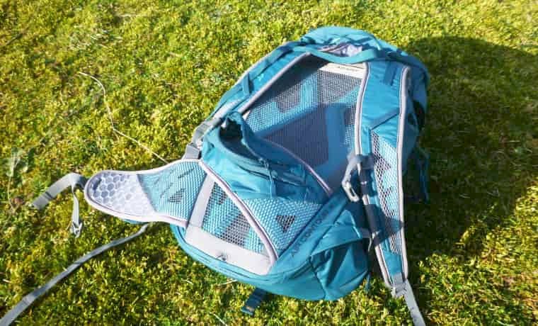 Backpack shoulder straps and back panel
