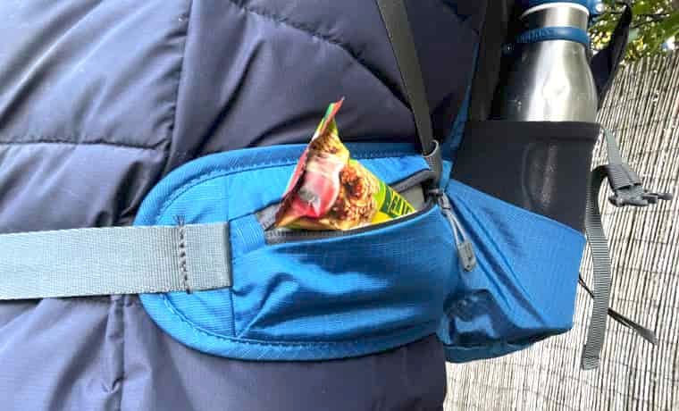 Backpack waist pocket