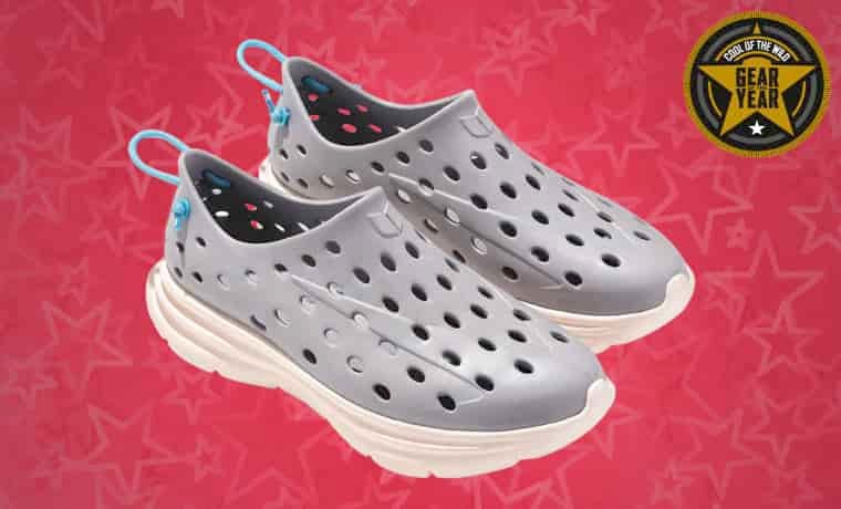 Kane shoes