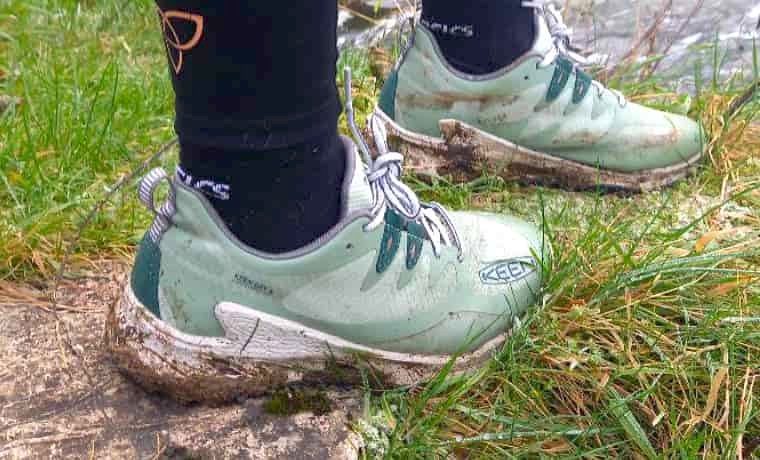 Shoe heel
