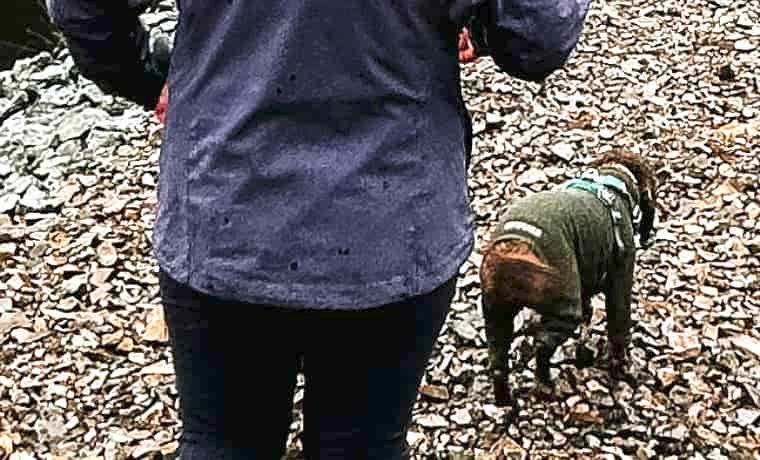 Jacket hem