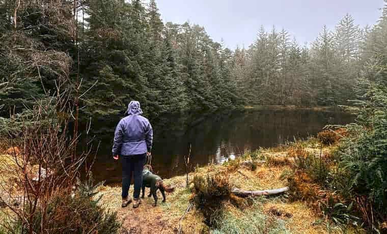 Woman walking dog near lake