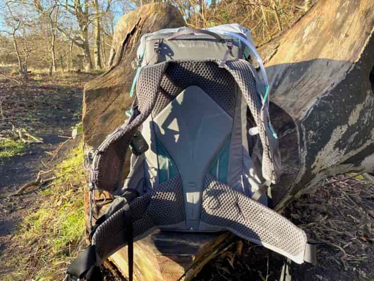 Backpack back panel