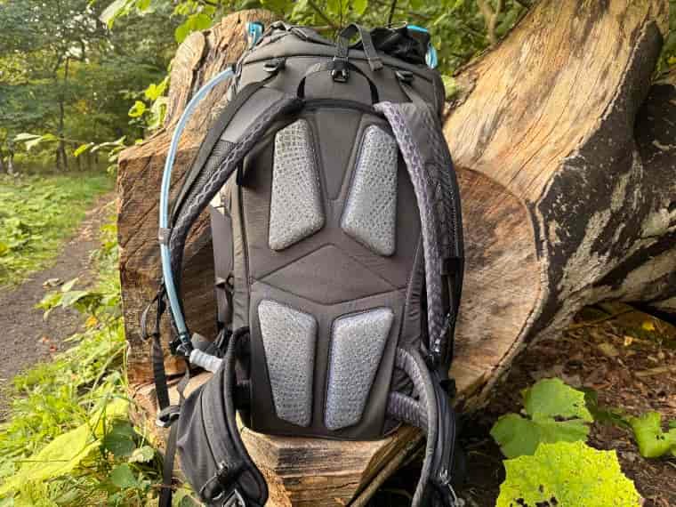 Back panel of backpack